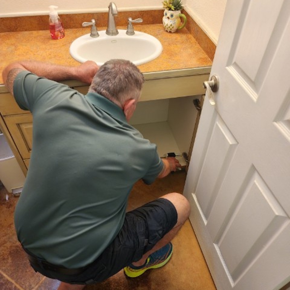 Smart Pest Management: Protecting Home Decor Against Pests